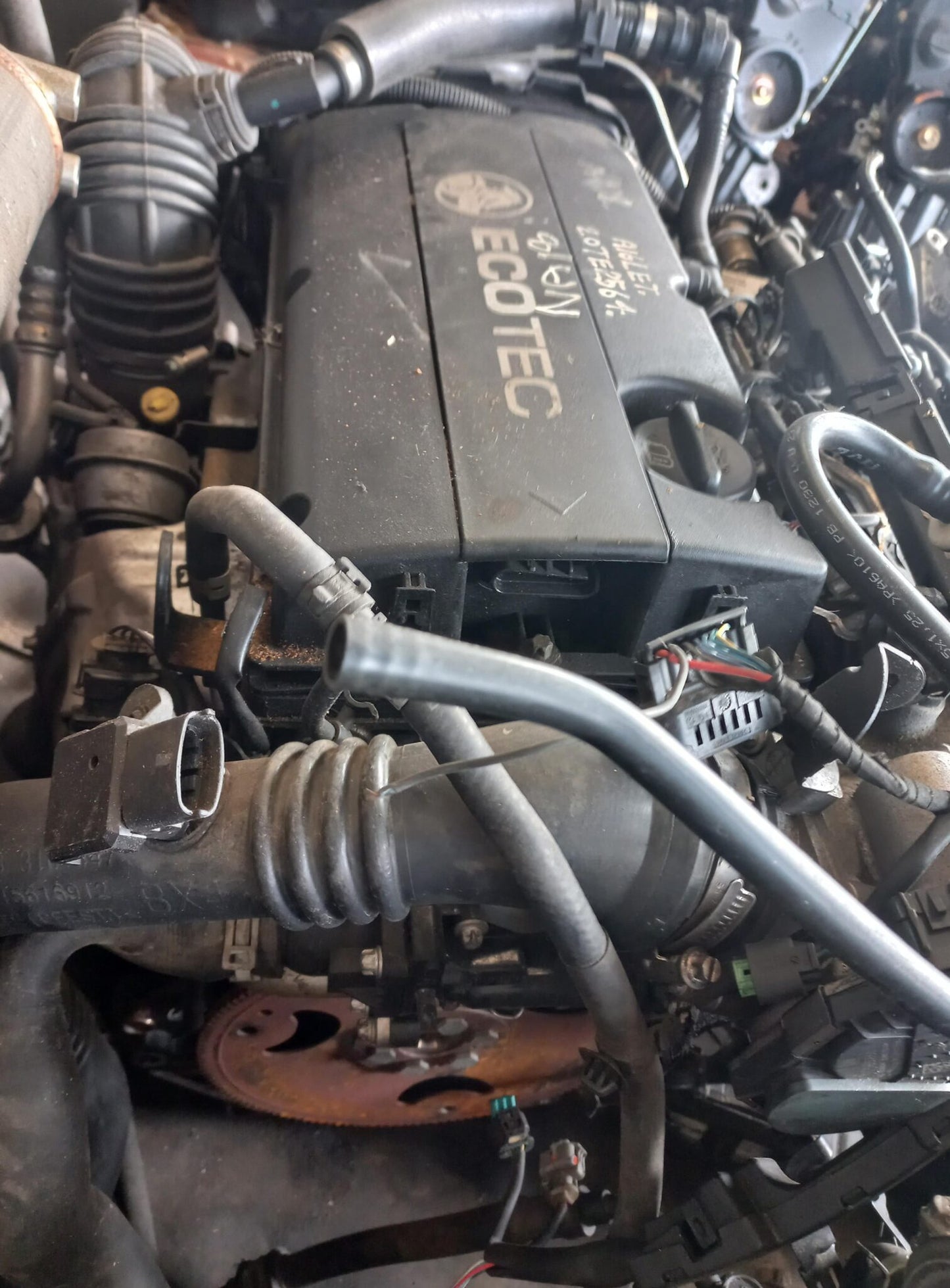 Opel Astra-G, Speedster, Vectra, Zafira 2.0 Engine (Z22SE)