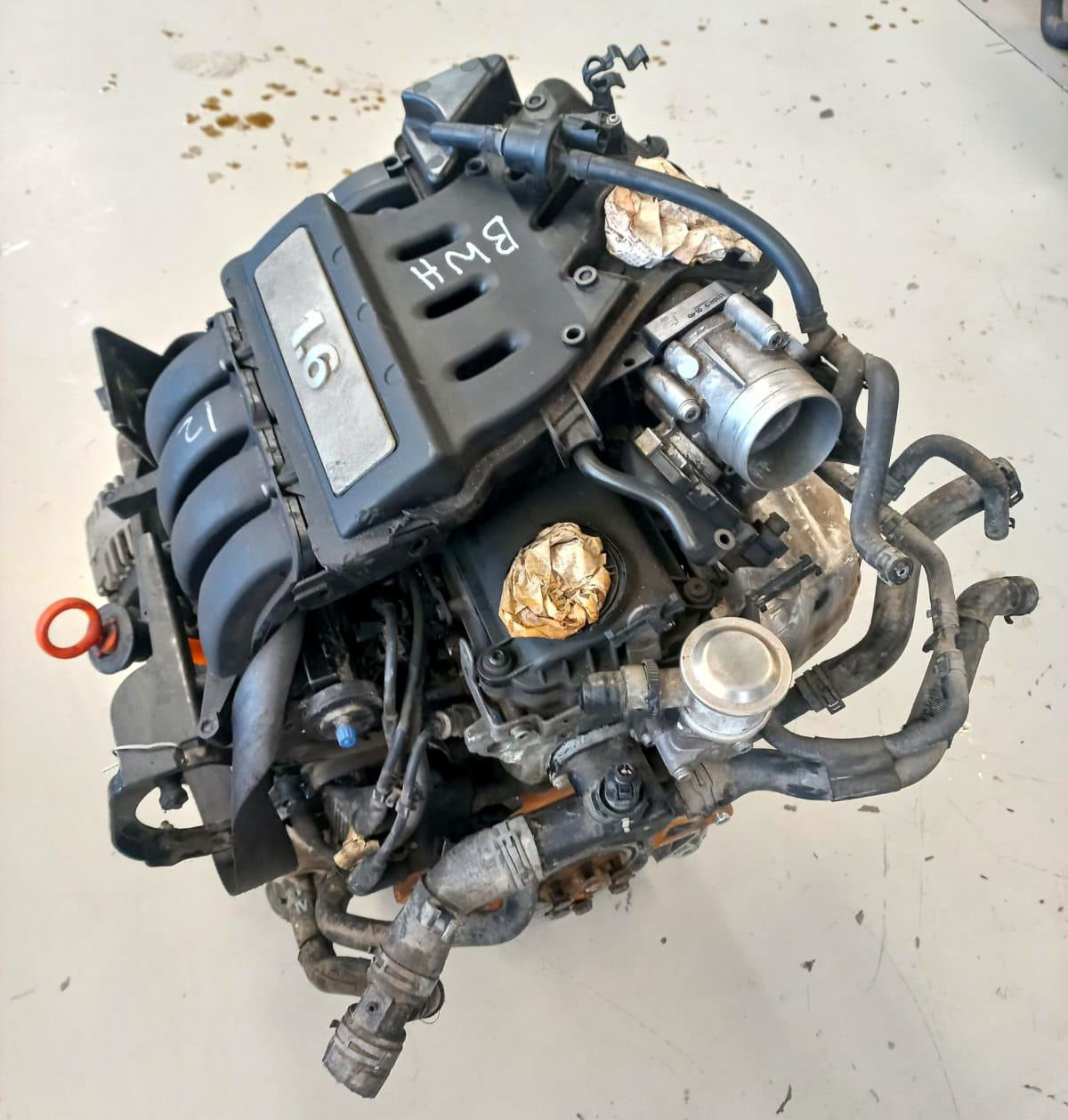 Volkswagen Jetta 1.6 4 CYL Petrol Engine (BWH)